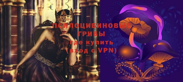 PSILOCYBIN Нефтекумск