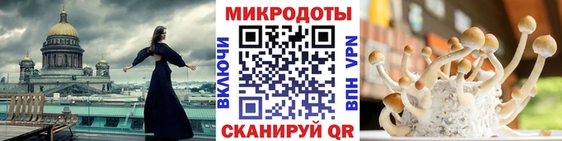 blacksprut маркетплейс  Лесозаводск  Псилоцибиновые грибы Psilocybe  где купить  