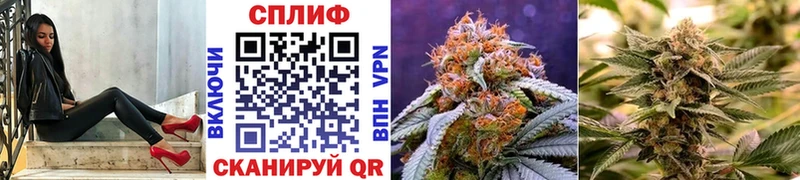 Каннабис OG Kush дарнет шоп Лесозаводск